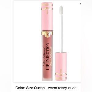 Lip Injection Power Plumping Cream Liquid Lipstick 💄 - NIB